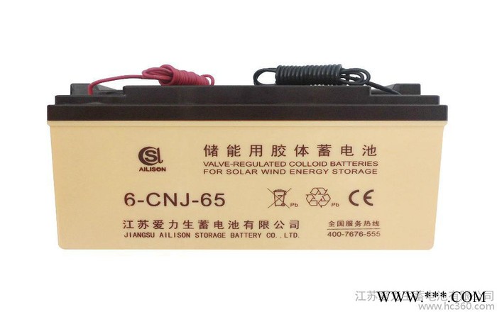 供應6-CNJ-65AH蓄電池/江蘇蓄電池/蓄電池批發/膠體電池采購/愛力生蓄電池/太陽能蓄電池