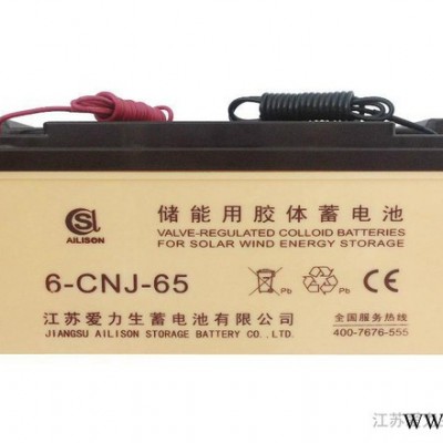 供應6-CNJ-65AH蓄電池/江蘇蓄電池/蓄電池批發/膠體電池采購/愛力生蓄電池/太陽能蓄電池