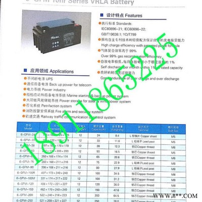 風(fēng)帆工業(yè)電瓶 ，6-GFM-100 10小時率系列閥控密封蓄電池，設(shè)備專用電源，太陽能電瓶