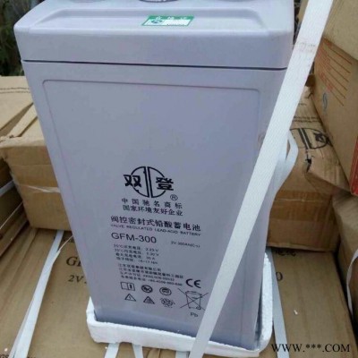 雙登蓄電池GFM-500 太陽能 船舶電瓶（48V 24V 12V系統）雙登2V500AH