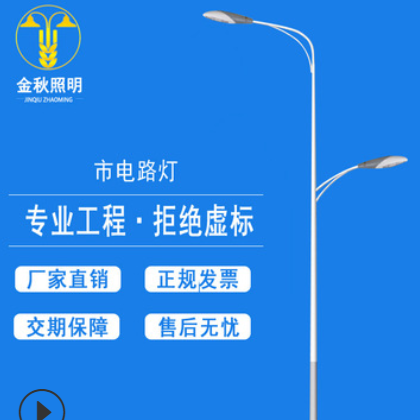 路燈燈桿廠家 6米30w 加工定制 led節能太陽能路燈 道路燈燈桿