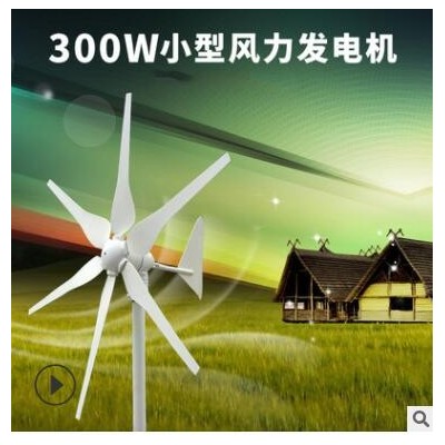 廠家批發300W風力發電機風光互補路燈監控12V用風機家用風電設備