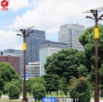 市政LED路燈 特色太陽能路燈 新農村太陽能路燈鄉村改造建設路燈