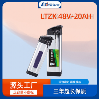 威能愛車電 銀魚款 電動車電池48V20AH