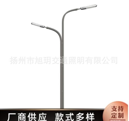 戶外LED路燈 室外照明燈具小區5/6/8米雙臂LED路燈桿批發量大從優