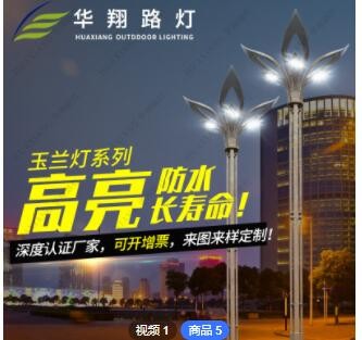 華翔廠家定制10米中華玉蘭燈路燈 市政工程建設(shè)戶外廣場(chǎng)LED景觀燈